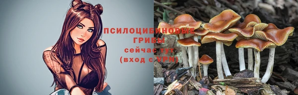 крисы Балабаново