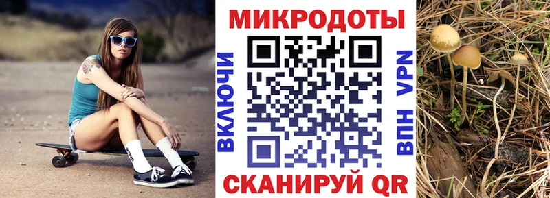 Псилоцибиновые грибы мицелий  Ликино-Дулёво 